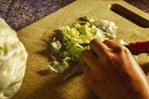 Green and white white cabbage iceberg lettuce cut in Germany. photo