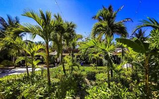 Resorts and tropical nature landscape view Holbox Mexico. photo