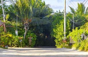 Holbox Quintana Roo Mexico 2021 Sandy muddy road walking path and nature landscape Holbox Mexico. photo