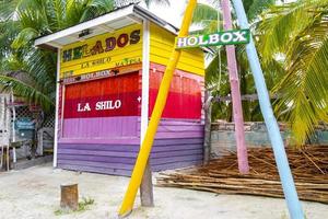 Holbox Quintana Roo Mexico 2021 Sandy muddy road walking path and nature landscape Holbox Mexico. photo