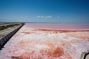 Red salt lake in Saline Margherita di Savoia of Italy. photo