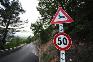 Deer crossing road sign and fifty kilometers per hour speed limit. photo