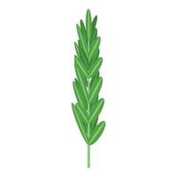 Rosemary leaf icon, isometric style vector