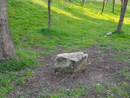 gran roca en medio del bosque. piedra en el campo. lugar de poder. foto