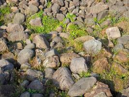 Remains of the old pavement. Ancient stonework. Lots of cobblestones on the grass. photo