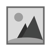 Gallery Flat Greyscale Icon vector