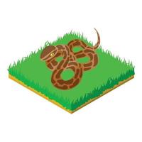 Boa constrictor icon, isometric style vector