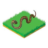 Desert snake icon, isometric style vector