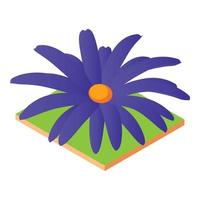 Blue flower icon, isometric style vector