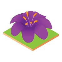 Purple lily icon, isometric style vector