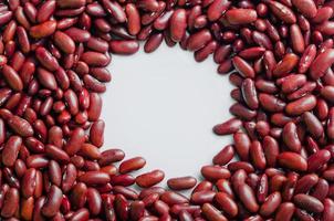 Red Kidney Beans Isolated on White Circle for Copy Space photo