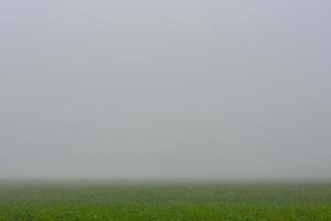 densa niebla gris sobre un campo verde en la naturaleza foto