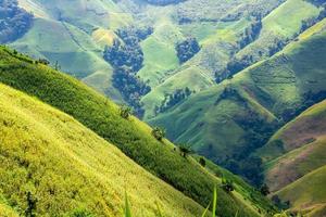 Beautiful mountain view of north Thailand in winter,journey Road trip holiday,Tourism and travel concept, Fresh and relaxed type nature. photo