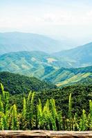 Beautiful mountain view of north Thailand in winter,journey Road trip holiday,Tourism and travel concept, Fresh and relaxed type nature. photo