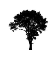 Tree silhouette for brush on white background photo