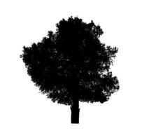 Tree silhouette for brush on white background photo