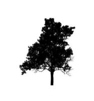 Tree silhouette for brush on white background photo