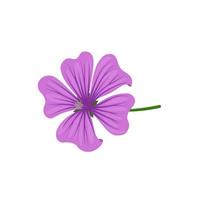 Vector illustration, mallow flower or malva flower, isolated on white background.