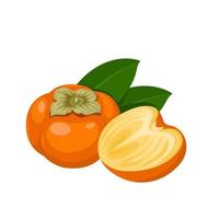 Vector illustration, whole and halved persimmon fruit, with green leaves, isolated on white background.