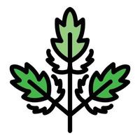 Parsley ingredient icon color outline vector