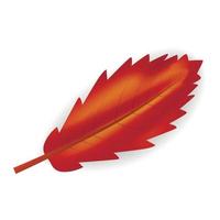 Red leaf icon, realistic style vector