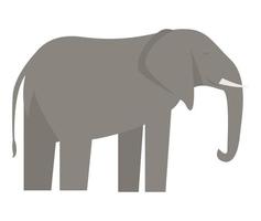 Elephant icon, flat style vector