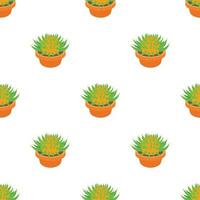 Prickly cactus pattern seamless vector