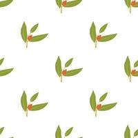 Juniper berry pattern seamless vector