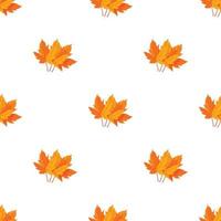 Autumn leaves pattern seamless vector