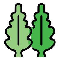 Fresh arugula icon color outline vector