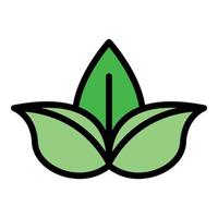 Basil leaf icon color outline vector