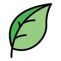 Basil leaf farm icon color outline vector