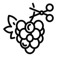 icono de uvas y tijeras, estilo de esquema vector