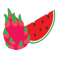 Tropical fruit icon, isometric style vector