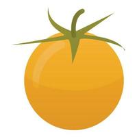 Yellow tomato icon, isometric style vector