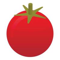 Eco red tomato icon, isometric style vector