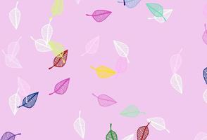 Light Multicolor, Rainbow vector doodle backdrop.