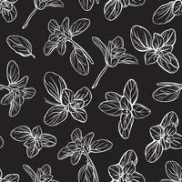 Basil Pattern. Italian herbs.A sprig of marjoram vector