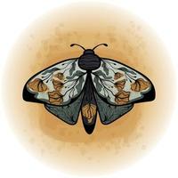 Boho Floral Butterfly Moth Insect Detailed Vector Illustration 02