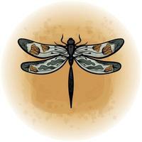 boho floral mariposa polilla insecto detallado vector ilustración 09