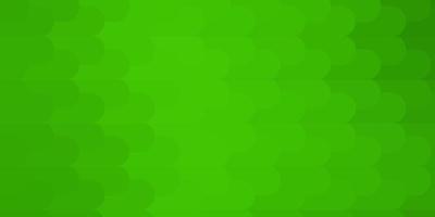 Light Green vector background with lines.