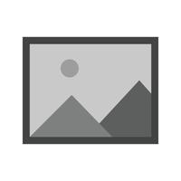 Albums Flat Greyscale Icon vector