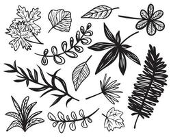 conjunto de bocetos de garabatos vectoriales de diferentes plantas, ramas y hojas. conjunto de ilustraciones gráficas elementos florales decorativos vector