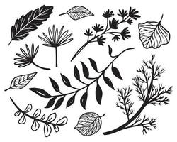 Set of vector doodle sketch of different beautiful plants, branches and leaves. Set of graphic illustrations decorative floral elements. Flash tattoo sketches