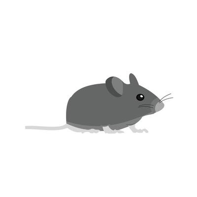 Pet Mouse Flat Greyscale Icon
