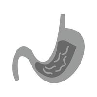 Stomach Flat Greyscale Icon vector