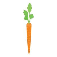 Long thin carrot icon, isometric style vector