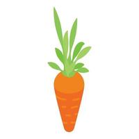 Farm carrot icon, isometric style vector