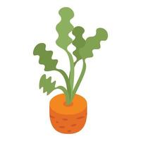 Soil carrot icon, isometric style vector