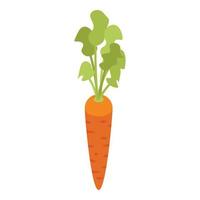 Market carrot icon, isometric style vector